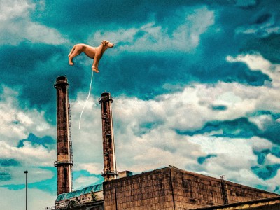 Les Chiens ... Éloge de la chute  