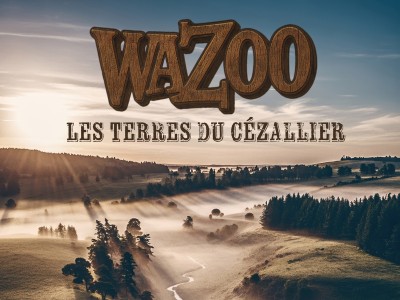 Wazoo - 