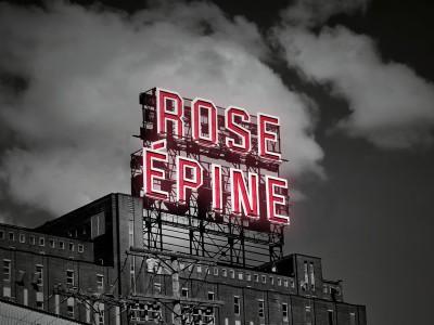 Rose Épine ... À Montréal  