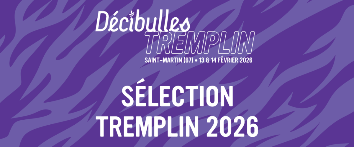 Tremplin Décibulles 2026 : une soirée pour découvrir les 8 groupes sélectionnés !