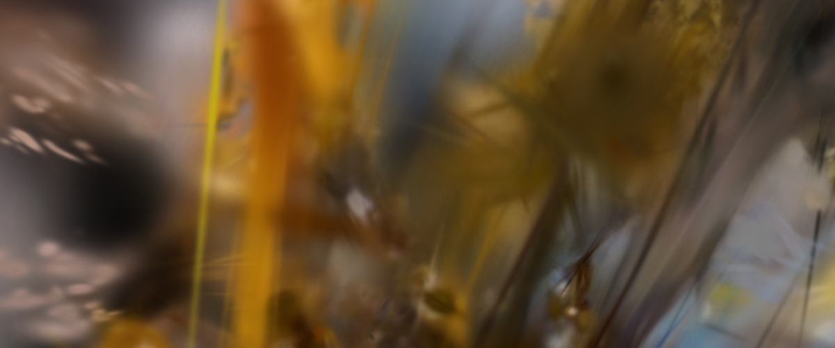 Workshop d'introduction au Gaussian Splatting avec TouchDesigner