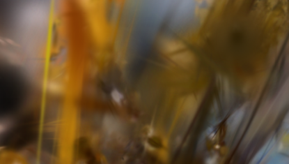 Workshop d'introduction au Gaussian Splatting avec TouchDesigner