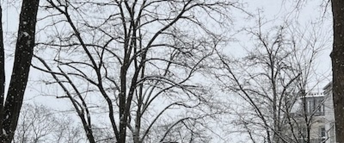 Que faire pendant les vacances de février à Montmartre ?