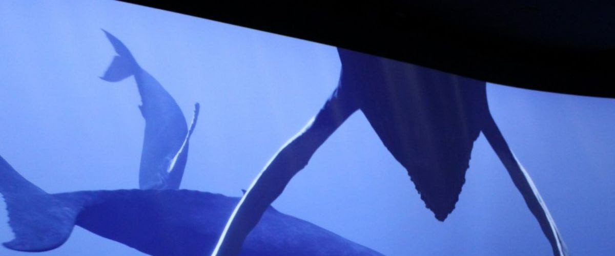 Trois sorties pour déringardiser la Saint-Valentin, sans y échapper complètement