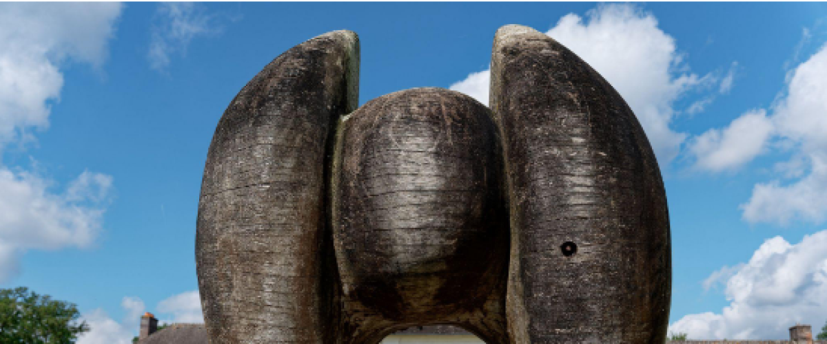 Visites guidées de mars – Dossier de presse