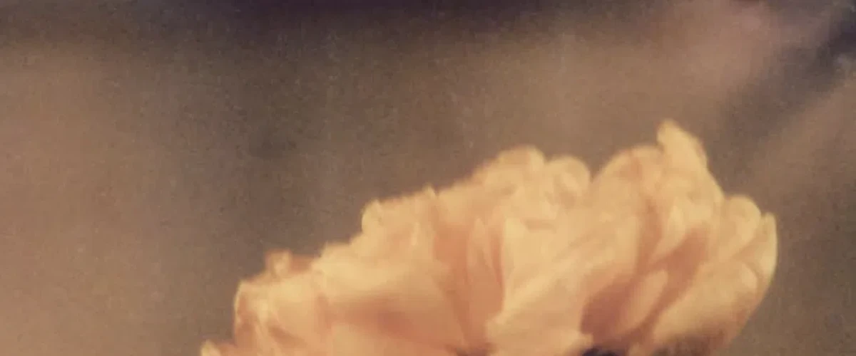 Flower – Patricia de Gorostarzu