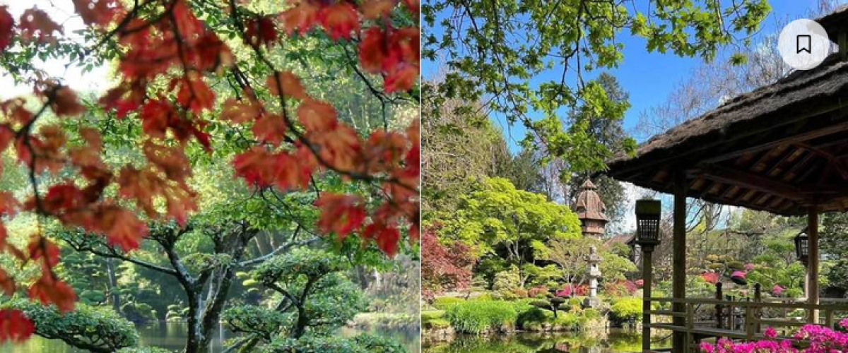 Le plus grand jardin japonais d’Europe se trouve en France – et il est absolument féérique