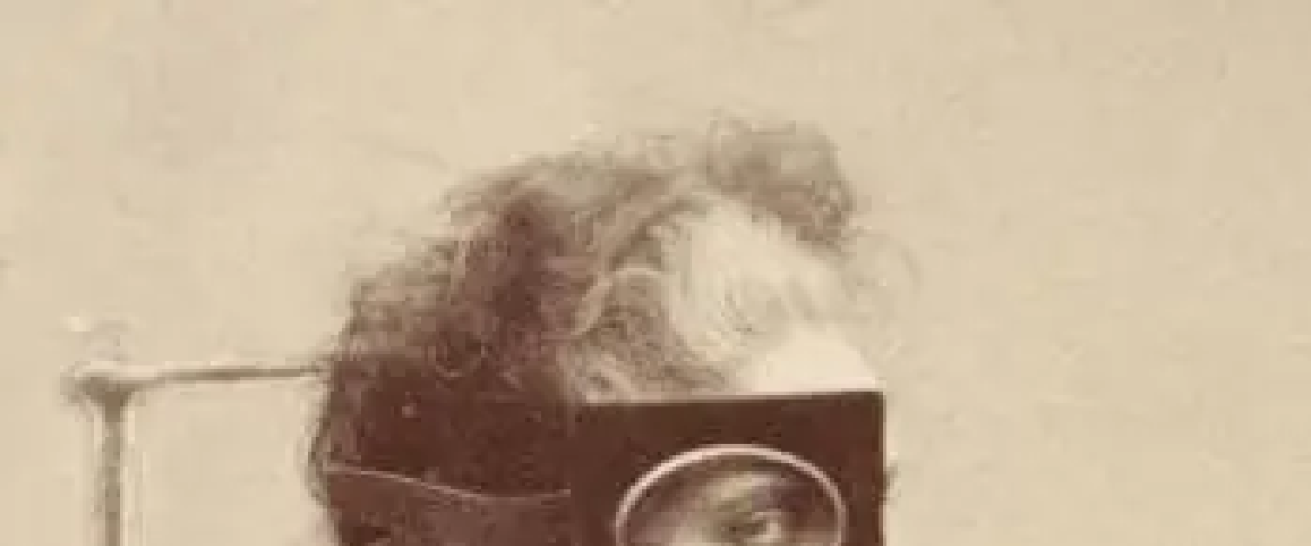 Le Bicentenaire de la Photographie