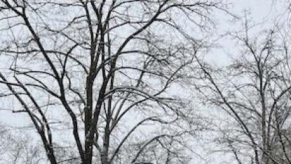 Que faire pendant les vacances de février à Montmartre ?