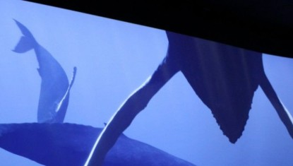 Trois sorties pour déringardiser la Saint-Valentin, sans y échapper complètement