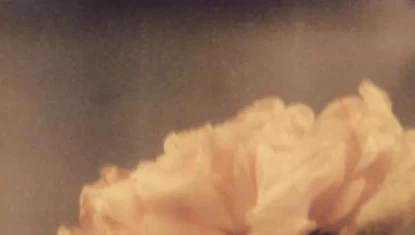 Flower – Patricia de Gorostarzu