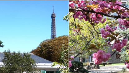 Les plus beaux jardins cachés à découvrir à Paris