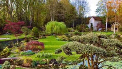 Ces jardins japonais cachés autour de Paris vont vous transporter à l’autre bout du monde : et pourtant, peu de Parisiens les connaissent !