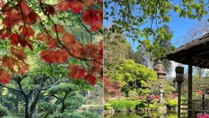 Le plus grand jardin japonais d’Europe se trouve en France – et il est absolument féérique